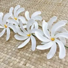 【新品６点セットB】ティアレ ピック タヒチアンダンス フラダンス TAHITI