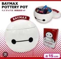 Disney BAYMAX POTTERY POT
