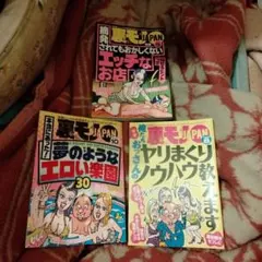 Item thumbnail for item 25eeb330-57a7-4177-a53b-da7f6ca98519