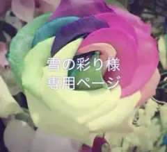 雪の彩り様　専用ページ
