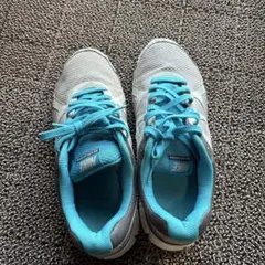 Item thumbnail for item 3bb6a295-a8dc-4100-a45b-ebb10e914d1c