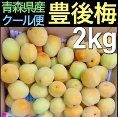 24.青森県産　豊後梅　L.2Lサイズ 約2kg
