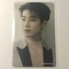 ウォヌ ひとりじゃない HMV 特典トレカ