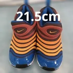 NIKEダイナモフリー　スリッポンスニーカー 茶×ブルー21.5cm