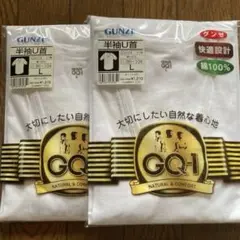 GUNZE 半袖U首　Lサイズ　2枚