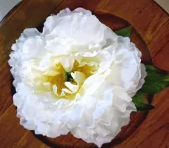 Item thumbnail for item 626fa2d0-297b-4b04-8024-d7368604e4e1