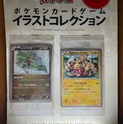 ポケモンカード イラストコレクションセット　おきがえピカチュウ　レックウザのサムネイル