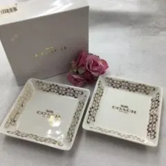 Item thumbnail for item 817ceb3e-7028-41f3-8f81-09deb889722a