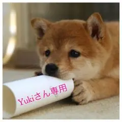 Yuki様専用