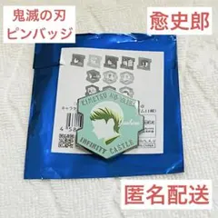 鬼滅の刃 無限城編　キャラクターモチーフピンズ 映画グッズ ピンバッジ 愈史郎