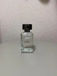 ZARA イントゥーザフローラルナンパー2 スピリテッド ロマンスのサムネイル