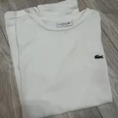 Item thumbnail for item 65ceefe0-9a05-46f6-9447-ae542241a65e