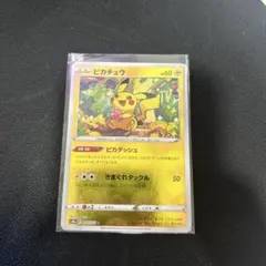 2026年最新】マスターボール ピカチュウ psa10の人気アイテム - メルカリ