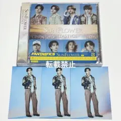 FANTASTICS SUNFLOWER トレカ 木村慧人
