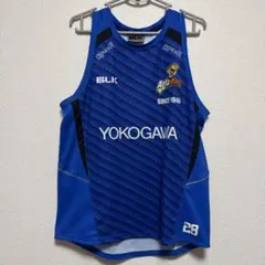 Item thumbnail for item 8fcc04f3-4a63-4ee9-97aa-af5d9b61ad16