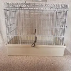 Item thumbnail for item f96a6a25-847b-4e2f-9c5f-81ed6d836a6d