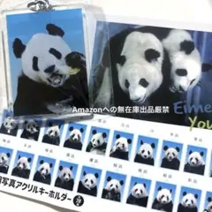 2026年最新】アドベンチャーワールド 永明の人気アイテム - メルカリ