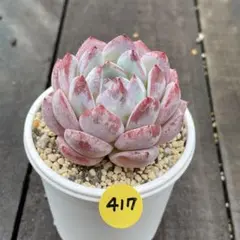 にゃか様 リクエスト 4点 まとめ商品