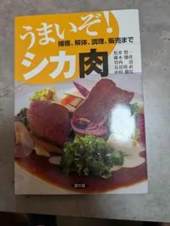 Item thumbnail for item 01d14774-a12d-4d97-9e78-c7ebb4253c18