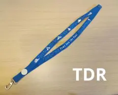 ディズニーリゾート ストラップ 青