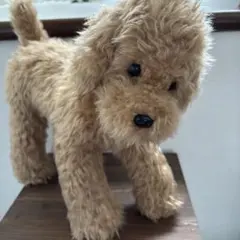 REAL DOG COLLECTION リアルドッグコレクション トイプードル - メルカリ