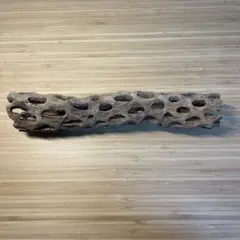 Item thumbnail for item ac8da8cf-524b-4f25-b99a-e768a37a38dd