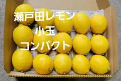 瀬戸田レモン　小玉　コンパクトのサムネイル