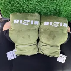 Item thumbnail for item 5abf9d86-49df-4808-9e29-06c9d66126b4