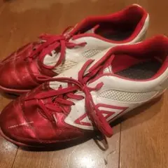 Item thumbnail for item 6c51327a-3eb0-44f4-84b1-e6f61d62cc8a