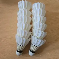 【新品未使用】シャトルクラブG 1ダース12個入り