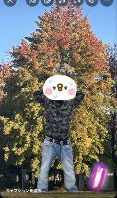 マウンテンパーカー パーカー