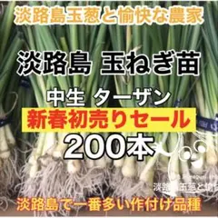 2026年最新】玉ねぎ苗 ターザンの人気アイテム - メルカリ