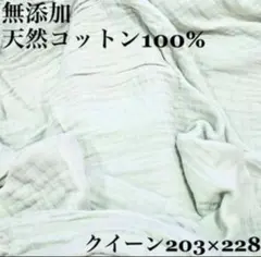 Item thumbnail for item 8bd9c0b4-fb44-4862-b70a-e8998f3e5887