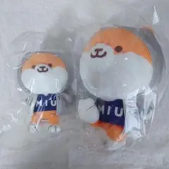 別注 童心 フカフカ いろあそび ぬいぐるみ クマ M Sセット - メルカリ