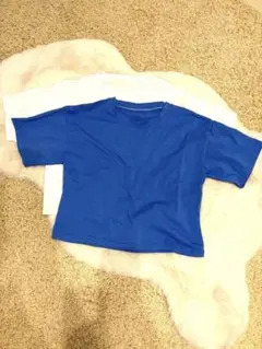 青と白の半袖クロップド丈Tシャツ 2枚セット フリーサイズ