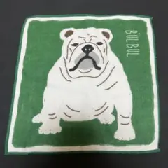 Item thumbnail for item 6bd08805-e775-4a88-9657-c1e94a499a43