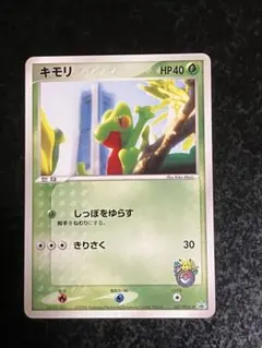 2025年最新】キモリ プロモの人気アイテム - メルカリ