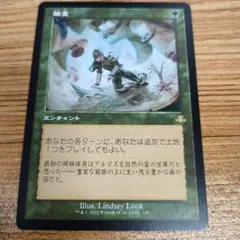 旧枠 マジック：ザ・ギャザリング