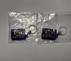 仮面ライダー めじるしアクセサリー3 カードデッキ(王蛇)2個