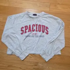 ラブトキ長袖カットソー 160