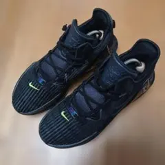 シューズ(男性用) NIKE LEBRON WITNESS 6EP 'BLACKVOLT' 26.5 NIKE LEBRON witness ブラック - メルカリ