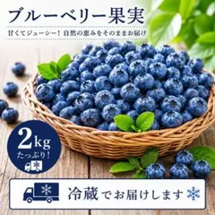 特大ブルーベリー　秋田県産　4キロ 特大ブルーベリー 秋田県産 4キロ - メルカリ