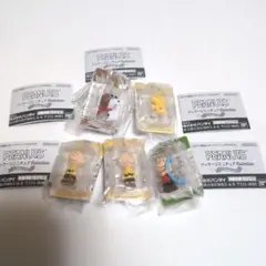 PEANUTS パッケージミニチュアコレクション　5個セット