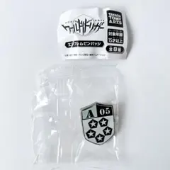 ワールドトリガー　エンブレムピンバッチ　嵐山隊