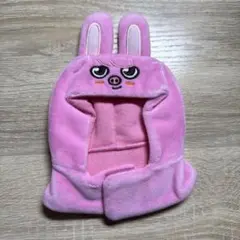 Straykids スキズ ペンライトカバー SKZOO トェッキ チャンビン