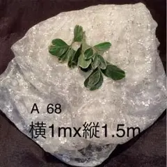 Item thumbnail for item 5f044b5a-66a9-4ee5-82d5-7aea7697a780