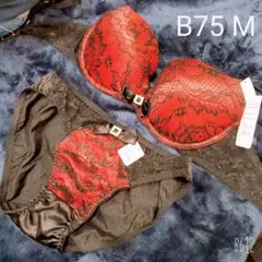 エメフィール　ブラジャー　ショーツ　上下セット　レア　赤　小悪魔　廃盤