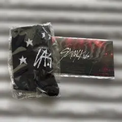 StrayKids 5-STAR Dome Tour VIP限定 くつ下