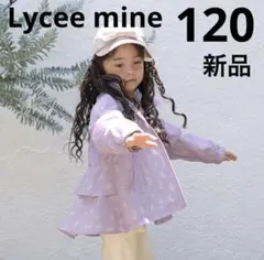 Item thumbnail for item fc954911-6a36-4f95-ac3b-20b2c91f1cf5