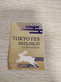9/21 赤ブー TOKYO FES.2025 サークルチケット サーチケ　1枚